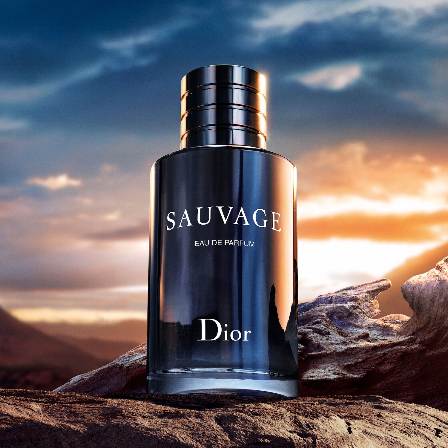 DIOR Sauvage Eau de Parfum Eau de Parfum ✔️ online kaufen | DOUGLAS