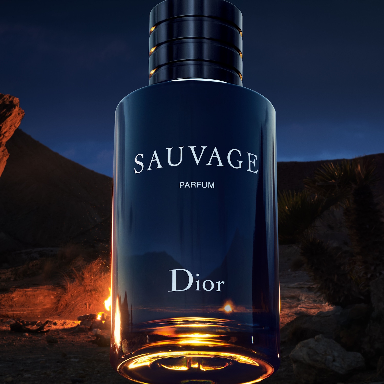 DIOR Sauvage Eau de Parfum ✔️ online kaufen | DOUGLAS