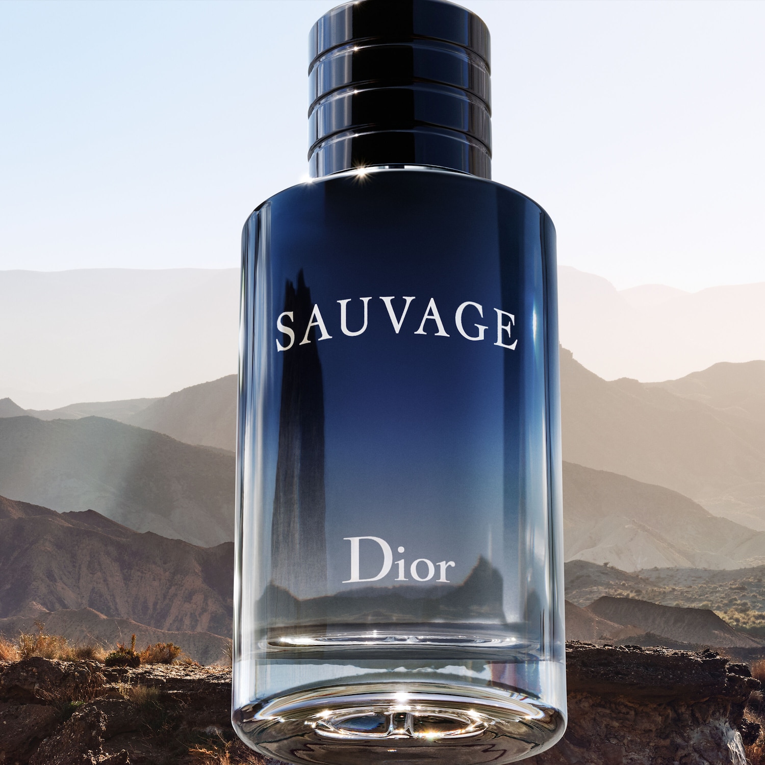 DIOR Sauvage Eau de Toilette ✔️ online kaufen | DOUGLAS