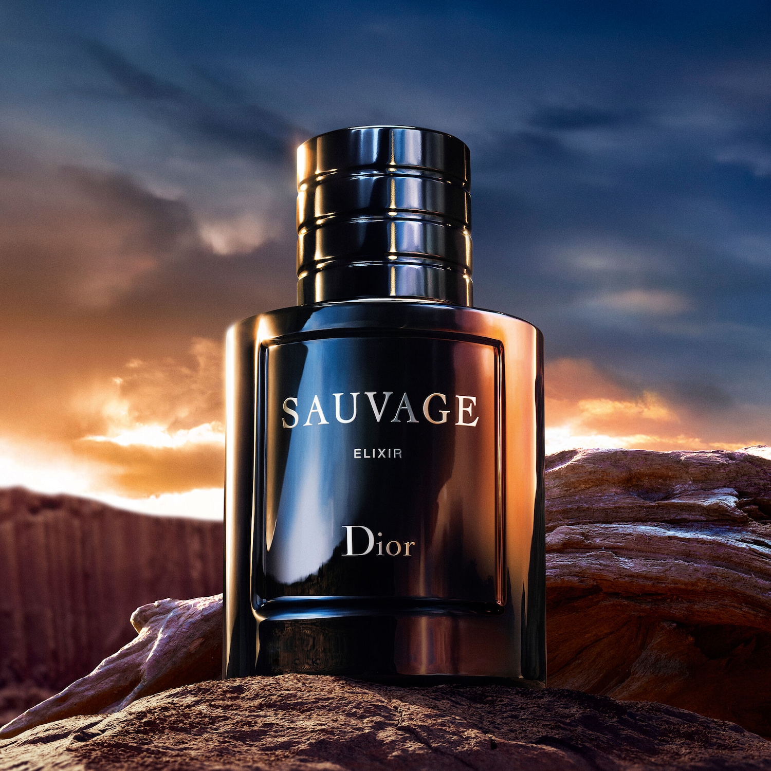 Dior SAUVAGE ELIXIR 香水 男性用 60ML DIOR Sauvage Elixir Parfum ✔️ online kaufen | DOUGLAS