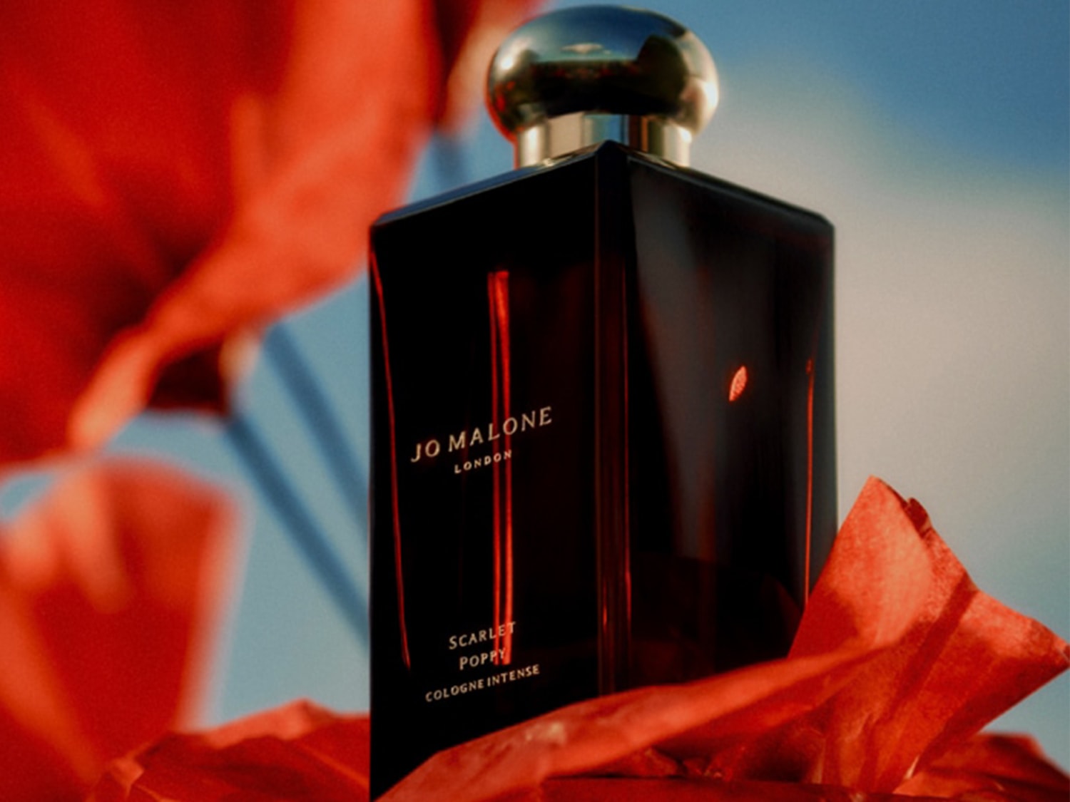 Een vrouw kijkt omhoog, omringd door rode bloemen, met een zachte focus op haar glanzende huid en rode lippen.