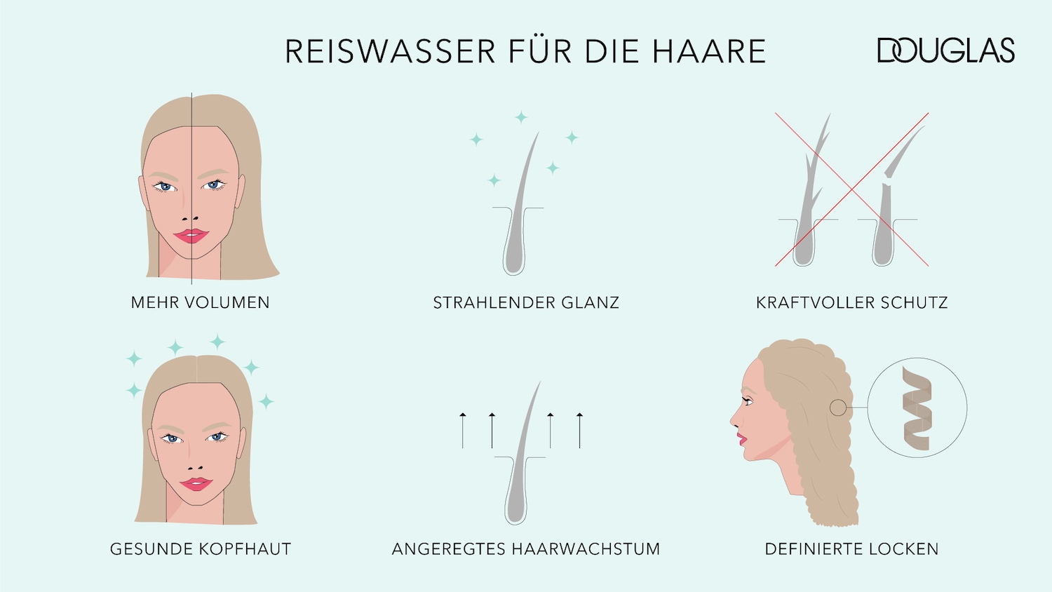 Reiswasser für die Haare von Douglas sorgt für mehr Volumen, strahlenden Glanz, kraftvollen Schutz, gesunde Kopfhaut, angeregtes Haarwachstum und definierte Locken.