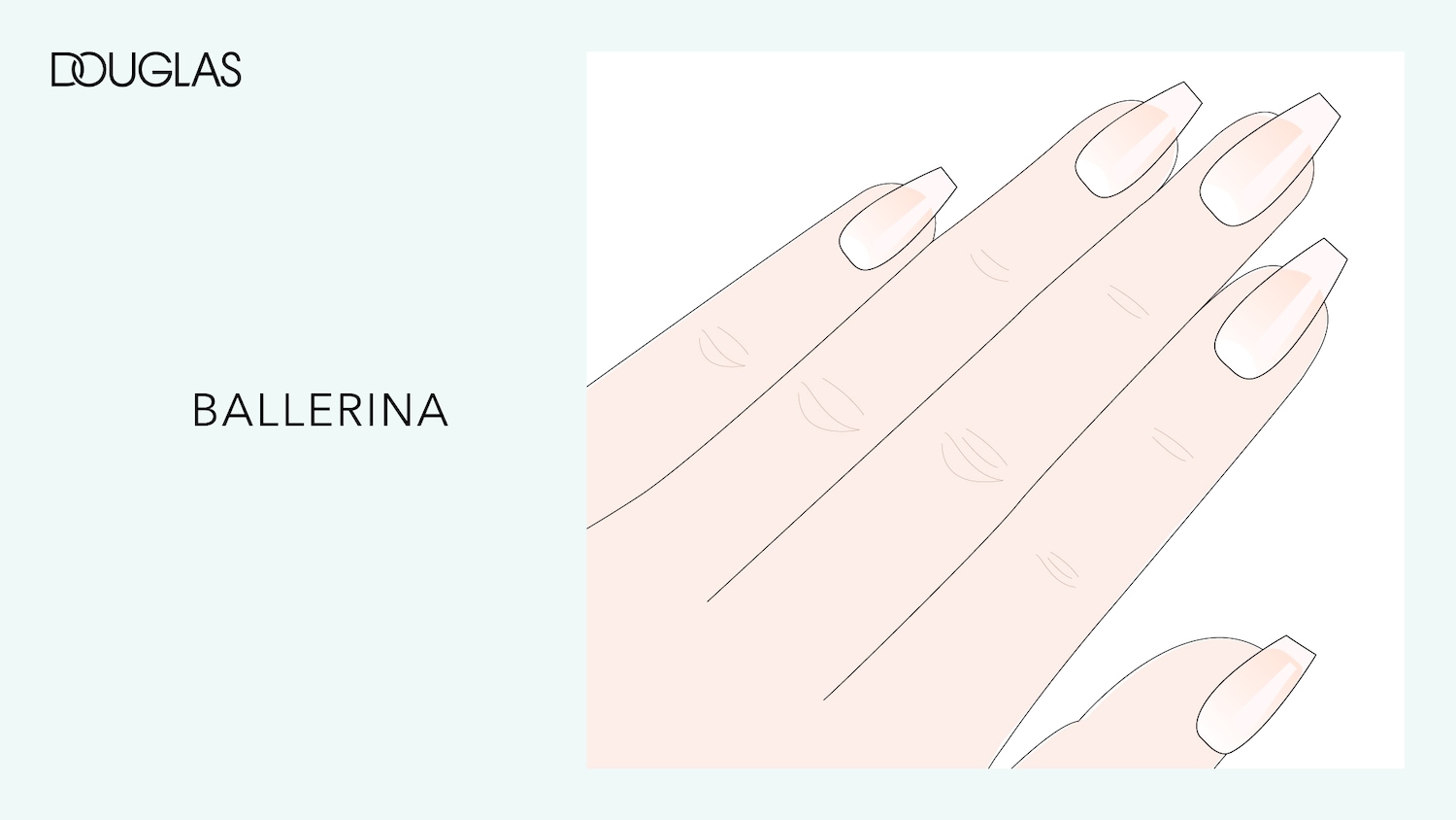 Ilustración de la mano de Douglas con uñas de color bailarina, que muestra una forma elegante y sofisticada.