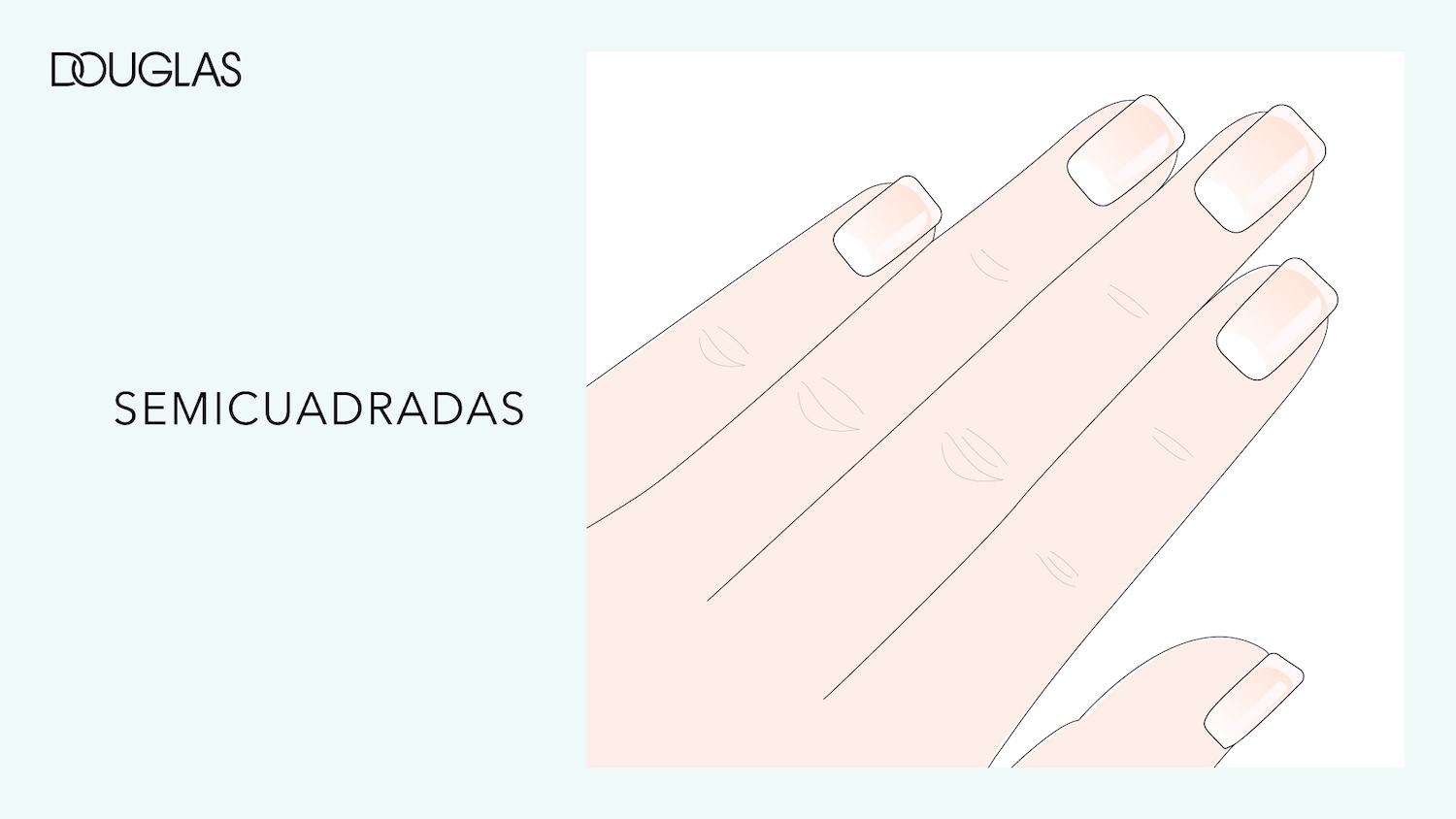 Ilustración de la mano de Douglas que muestra uñas semi cuadradas con un esmalte de color melocotón claro.