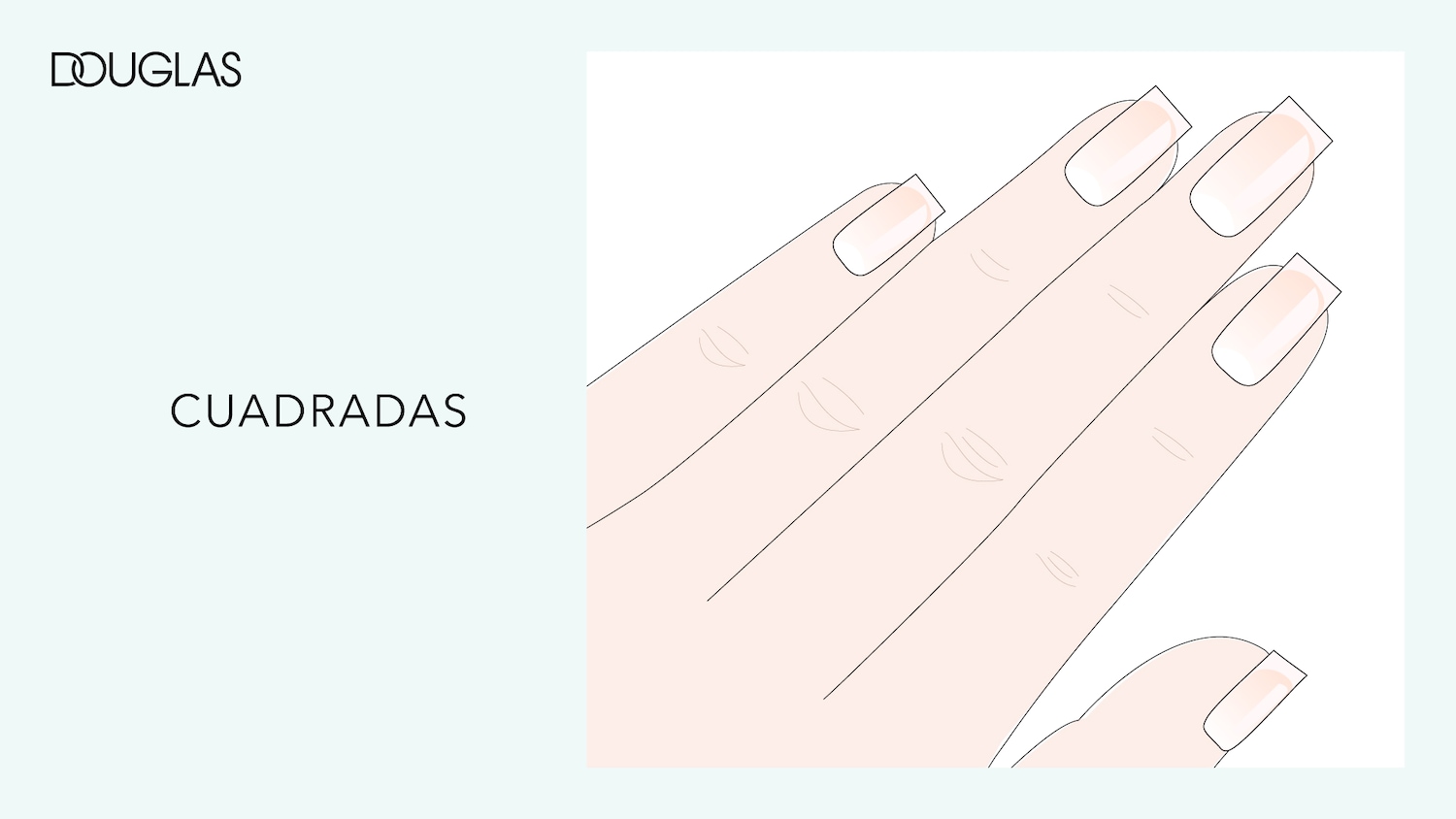 Ilustración de una mano con las uñas cuadradas, mostrando un estilo de manicura pulido y moderno de Douglas.