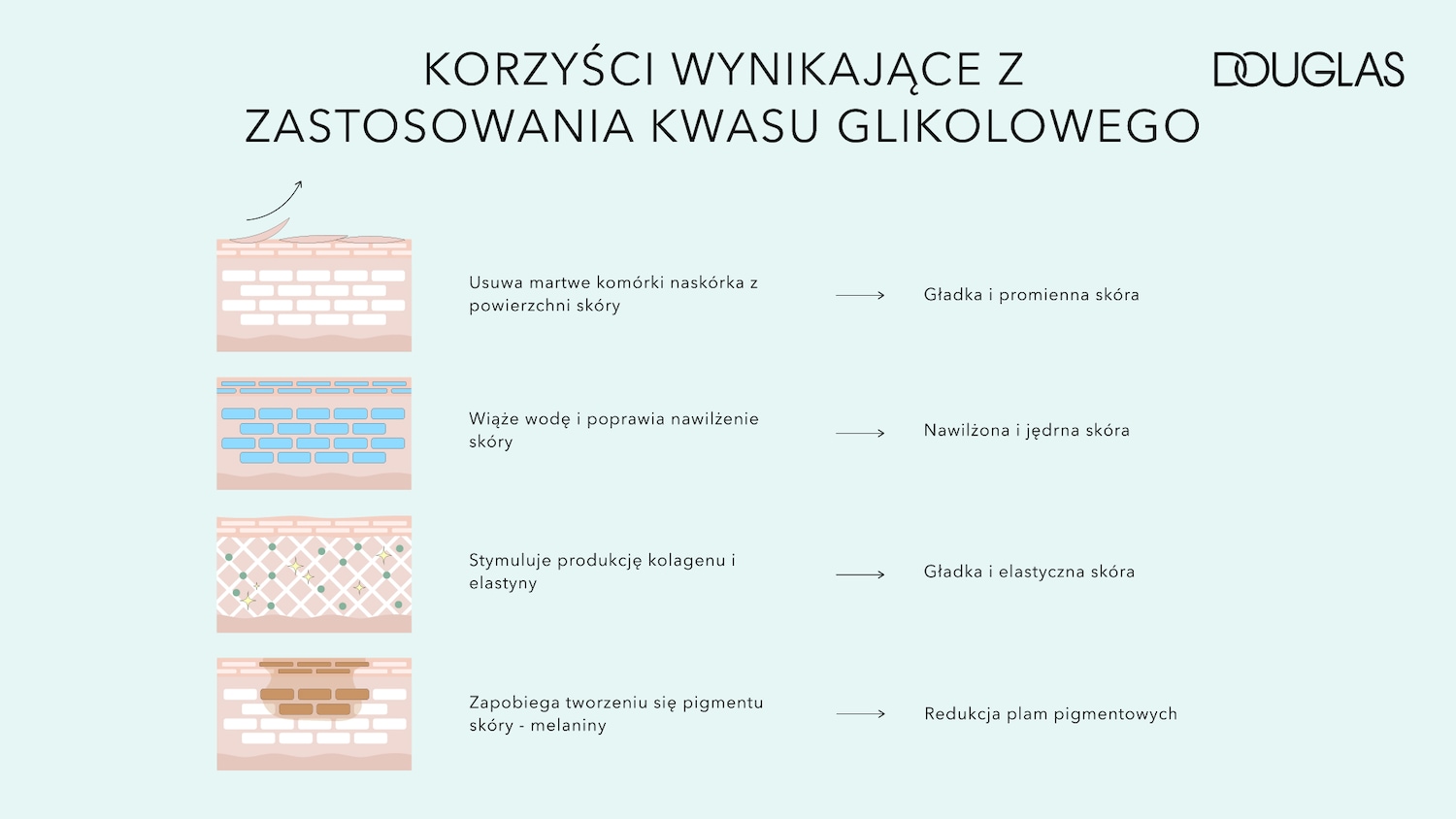 Ilustracja od Douglas przedstawia korzyści wynikające z zastosowania kwasu glikolowego, w tym usuwanie martwych komórek naskórka, wiązanie wody, stymulację produkcji kolagenu i elastyny oraz zapobieganie tworzeniu się pigmentu.