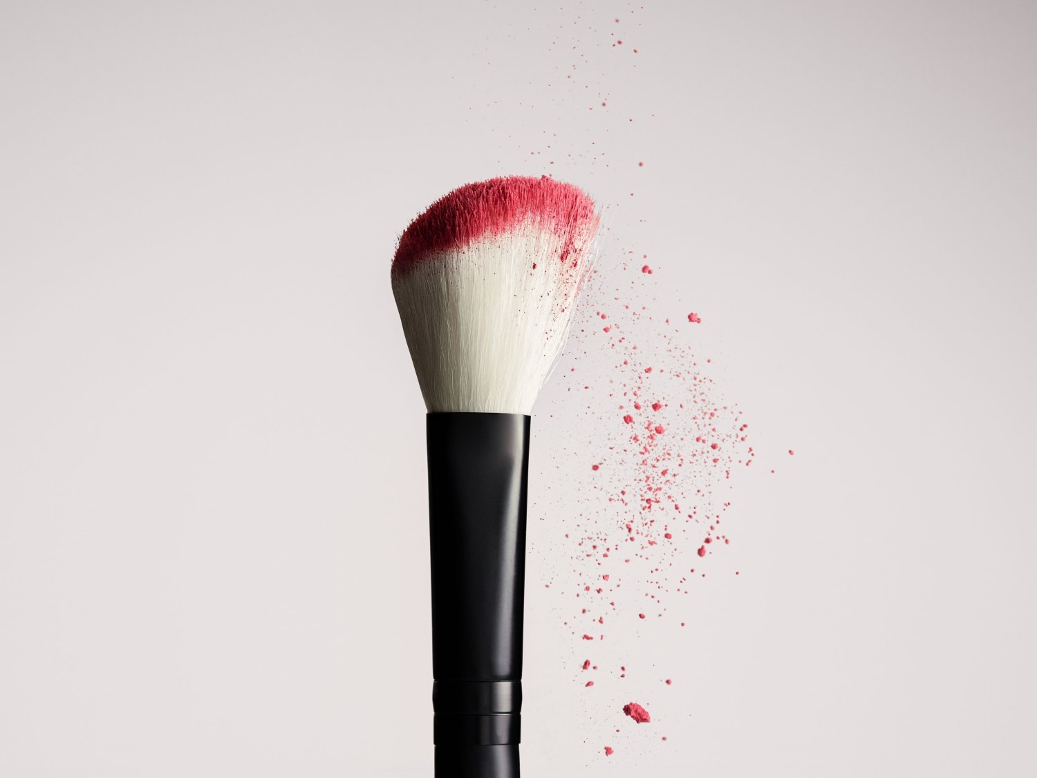 Nahaufnahme eines Make-up-Pinsels mit schwarzen Griff und weißen Borsten, die mit rosa Puder bedeckt sind, was auf die Anwendung von Rouge oder Lidschatten hinweist.