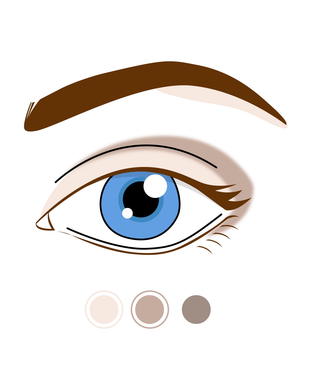 Ilustracja oka z niebieską tęczówką, brązową brwią i trzema odcieniami cieni do powiek: jasnym beżem, średnim brązem i ciemnym brązem.