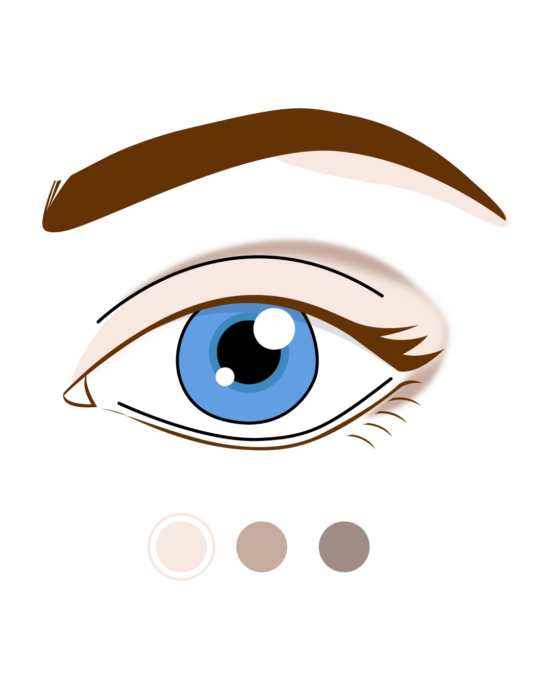 Ilustracja oka z niebieską tęczówką, brązowym łukiem brwiowym i trzema odcieniami cieni do powiek: jasnym beżem, średnim brązem i ciemnym brązem, pokazująca sposób nakładania makijażu.