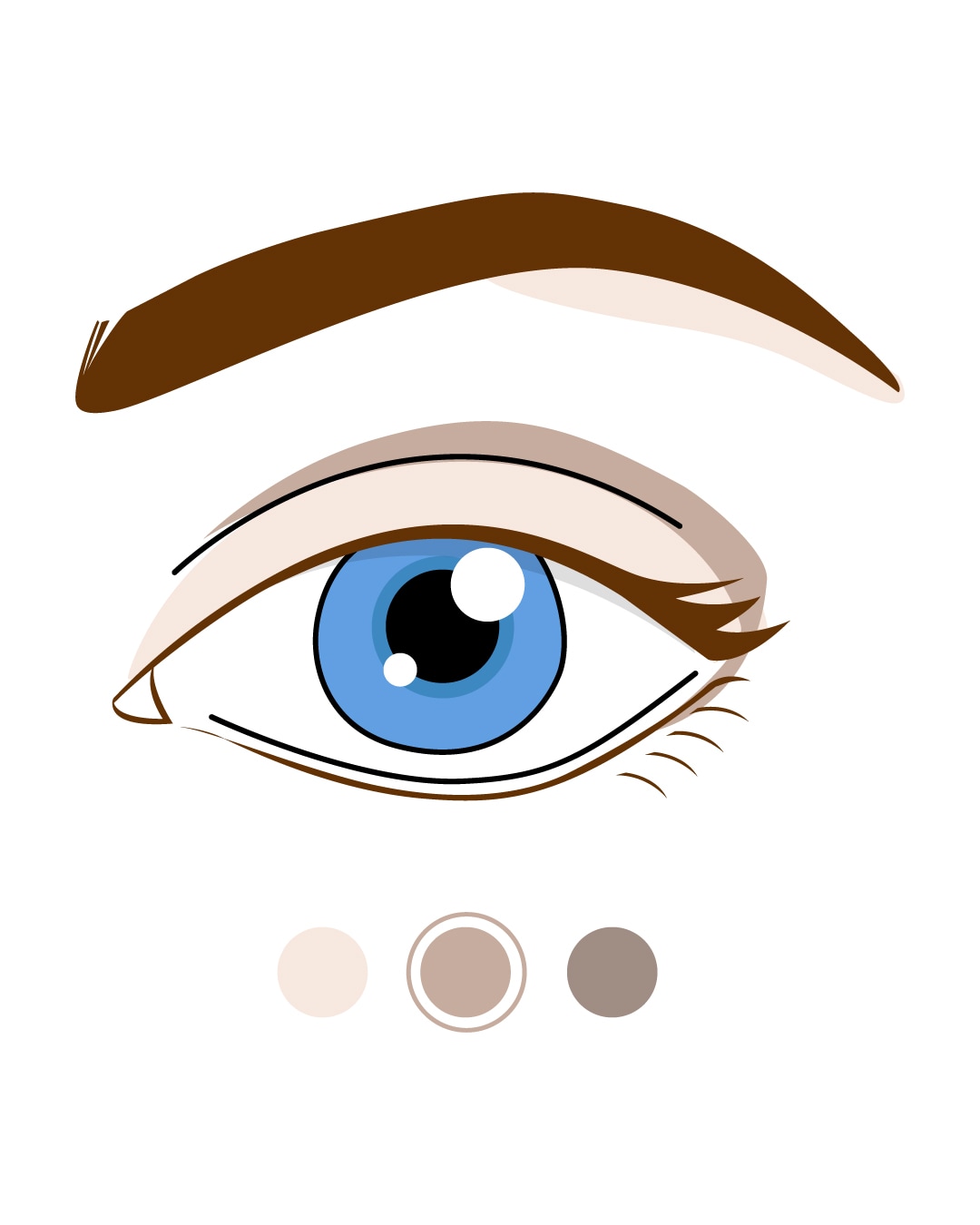 Ilustracja przedstawia oko z niebieską tęczówką, brązową brwią i trzema odcieniami cieni do powiek: jasnym beżem, średnim brązem i ciemnym brązem.