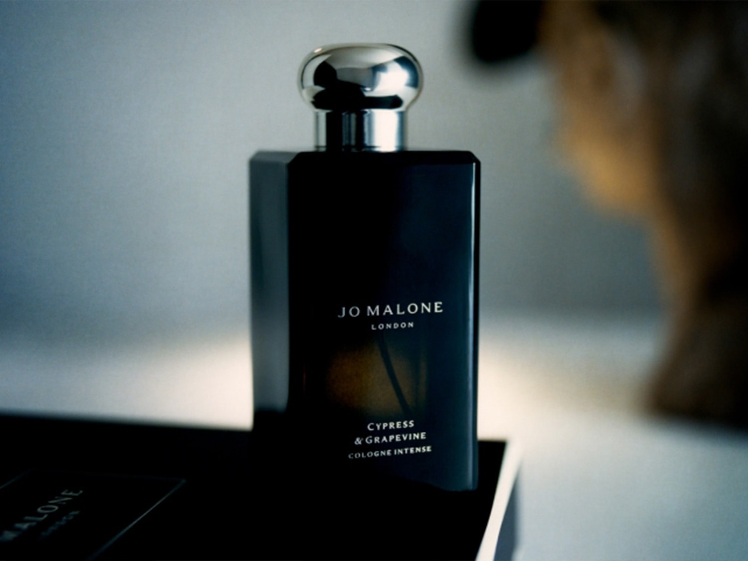 Voici un flacon de parfum Jo Malone London, Cypress & Grapevine Cologne Intense, avec un bouchon argenté brillant sur un flacon noir élégant.