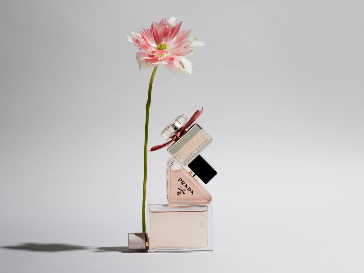 En la imagen se aprecia una composición artística con un arreglo floral y una pila de frascos de perfume de marcas como Burberry y Prada, creando una estética elegante y sofisticada.