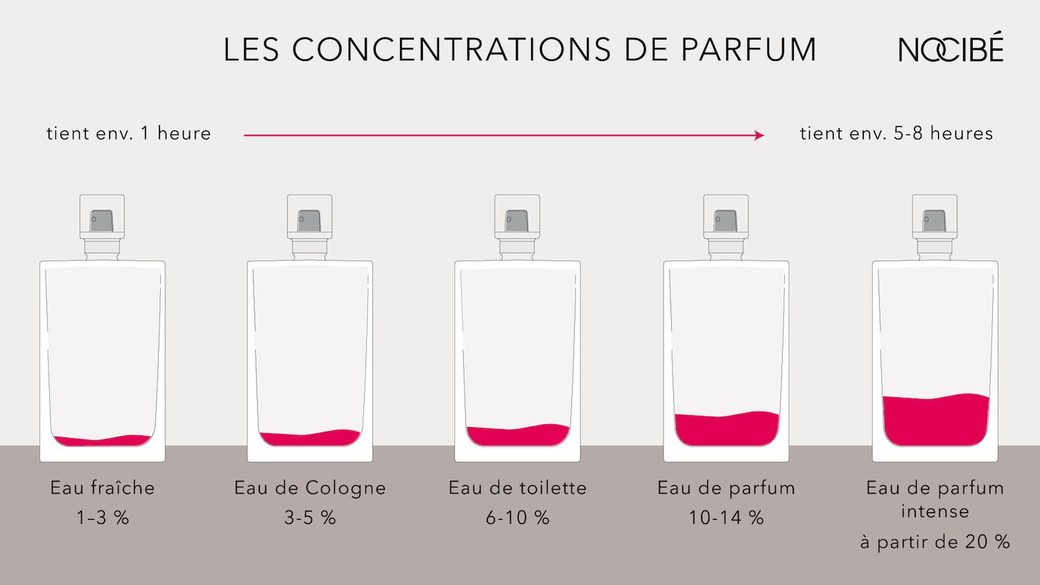 Diagramme illustrant les concentrations de parfum, allant de l'eau fraîche (1-3%) à l'eau de parfum intense (à partir de 20%), avec une durée de tenue variant d'environ 1 heure à 5-8 heures.