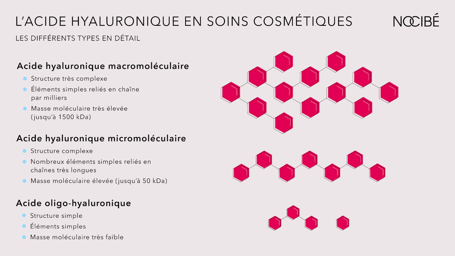 L'image présente les différents types d'acide hyaluronique utilisés dans les soins cosmétiques, notamment macromoléculaire, micromoléculaire et oligo-hyaluronique, avec leurs structures et masses moléculaires respectives.
