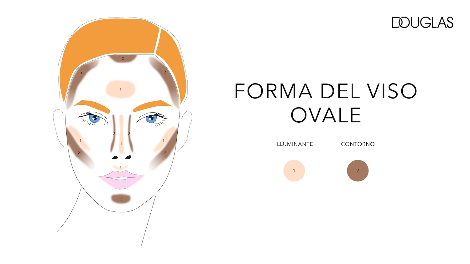 Schema di make-up per forma del viso ovale, con aree illuminate in color pesca e contouring in marrone, seguendo le indicazioni di Douglas.