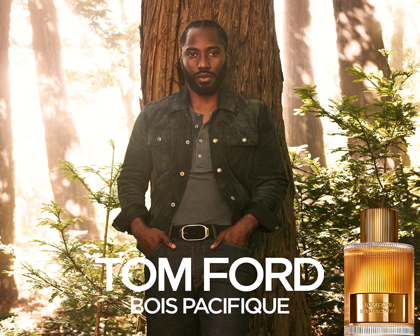 Een man leunt tegen een boom naast een fles Tom Ford Bois Pacifique parfum, een gouden flacon die de essentie van het bos vangt.