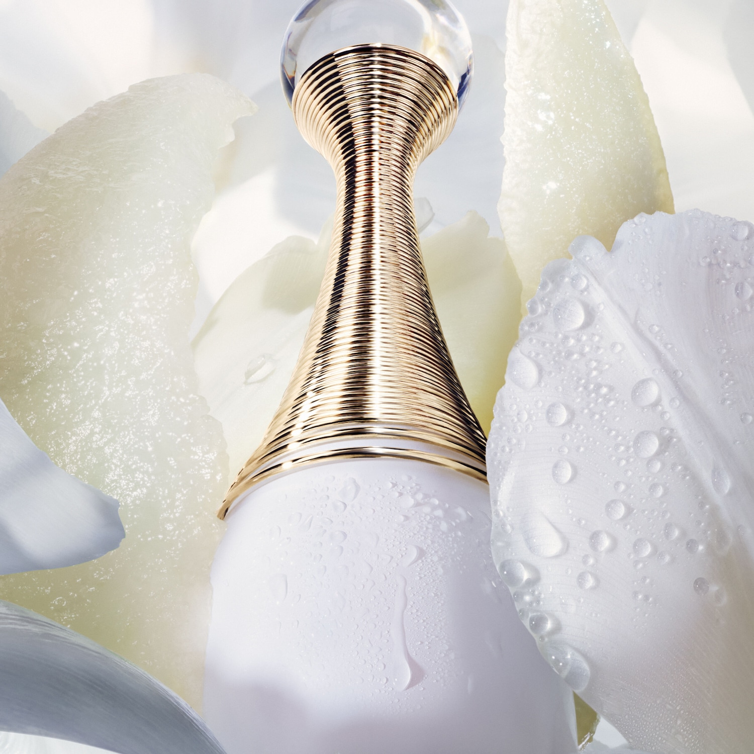 DIOR J'adore Parfum d'eau Eau de Parfum ✔️ online kaufen | DOUGLAS