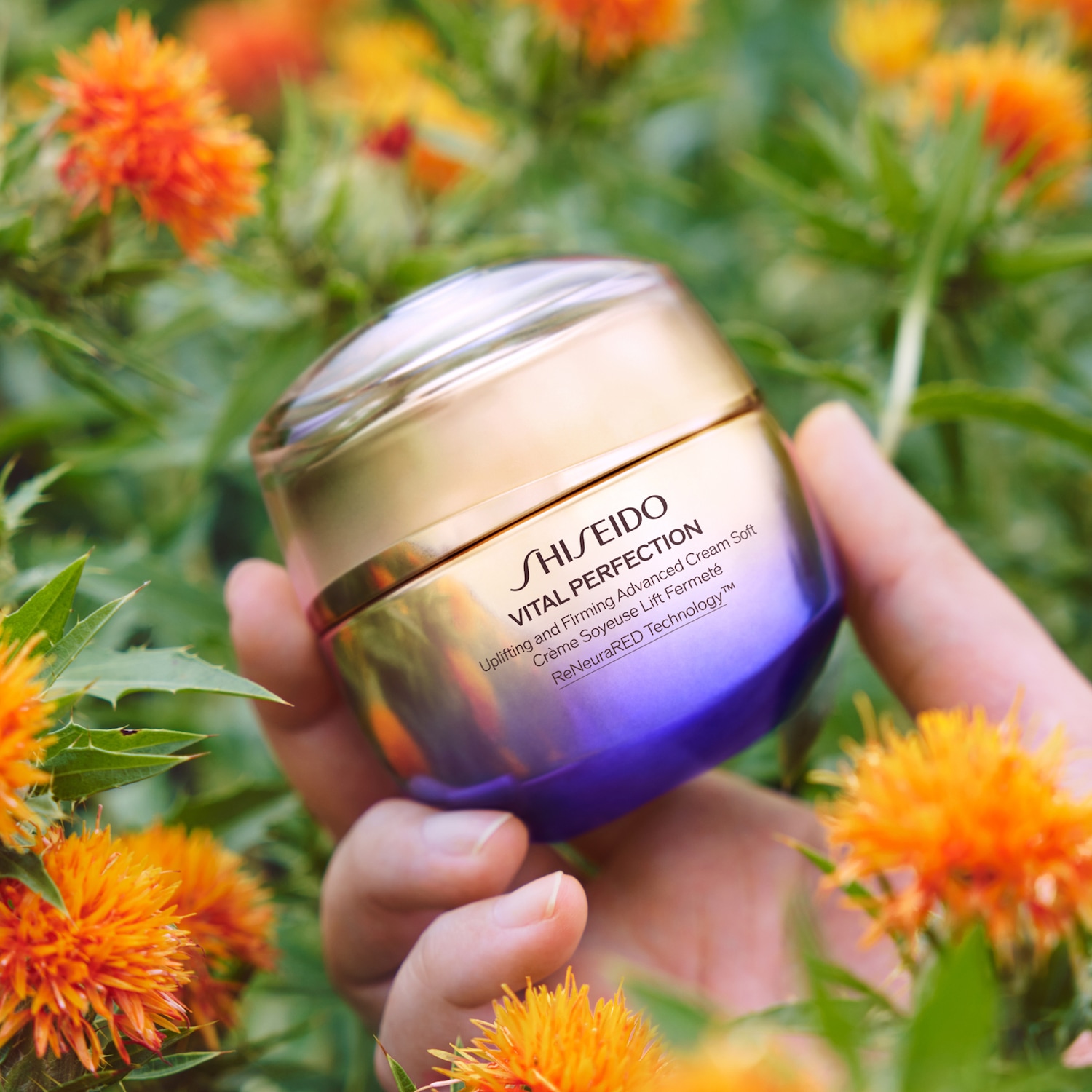 Ecco la crema viso Shiseido Vital Perfection, un trattamento avanzato in un vasetto dorato e viola, tenuto delicatamente in mano tra fiori arancioni.