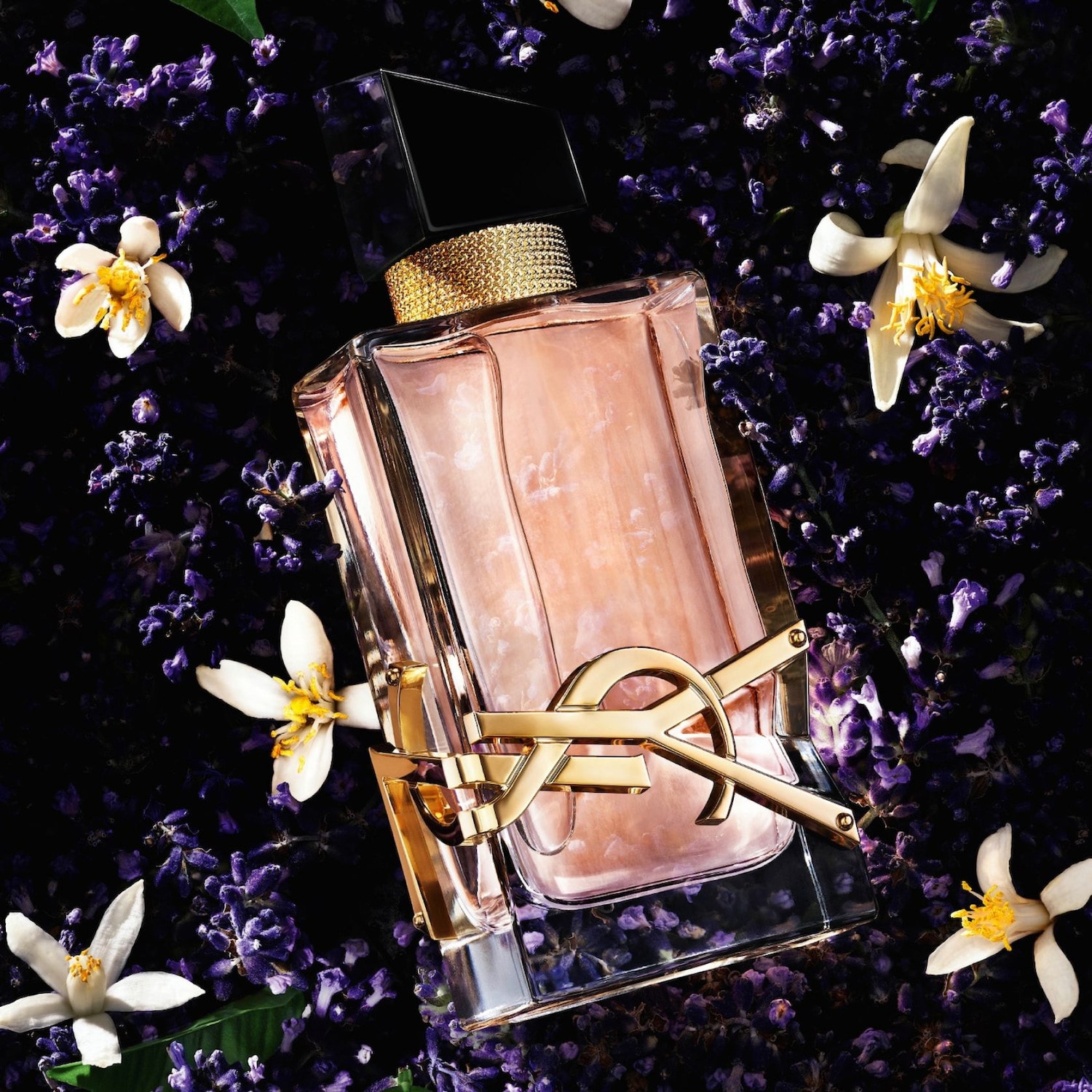 Az YSL Libre parfüm üvegben, arany logóval, lila virágok között helyezkedik el, elegáns és kifinomult megjelenést kölcsönözve.