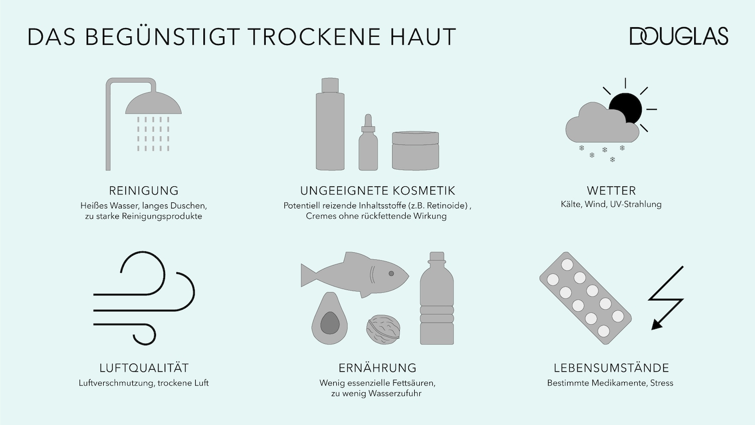 Die Grafik zeigt Faktoren, die trockene Haut begünstigen, darunter Reinigung mit heißem Wasser, ungeeignete Kosmetik und Wettereinflüsse.