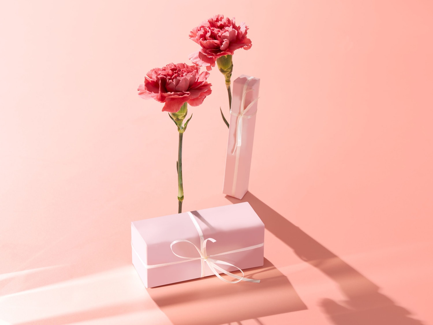 Deux œillets roses délicats se dressent à côté de cadeaux emballés dans du papier rose et ornés de rubans blancs, le tout sur un fond rose doux.