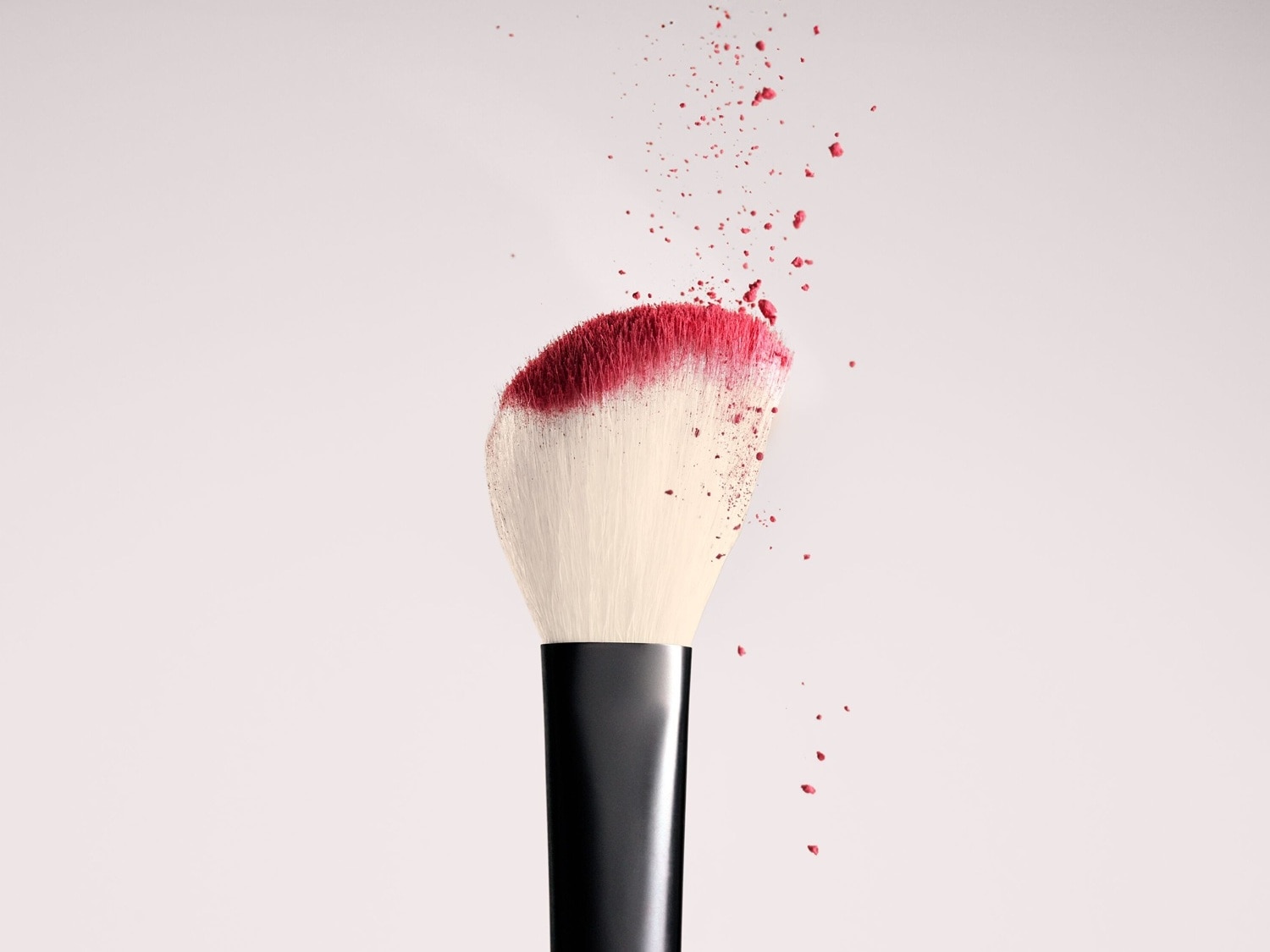 Gros plan d'un pinceau de maquillage avec des poils blancs et un manche noir, saupoudré de poudre rose.