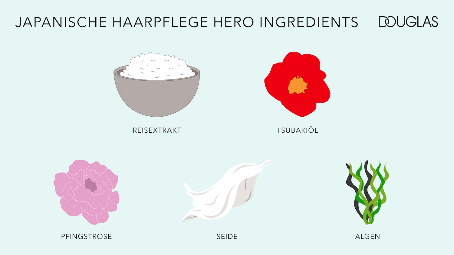 Japanische Haarpflege Hero Inhaltsstoffe von Douglas: Reisextrakt in einer grauen Schale, rote Tsubakiöl-Blume, rosa Pfingstrose, weiße Seide und grüne Algen.