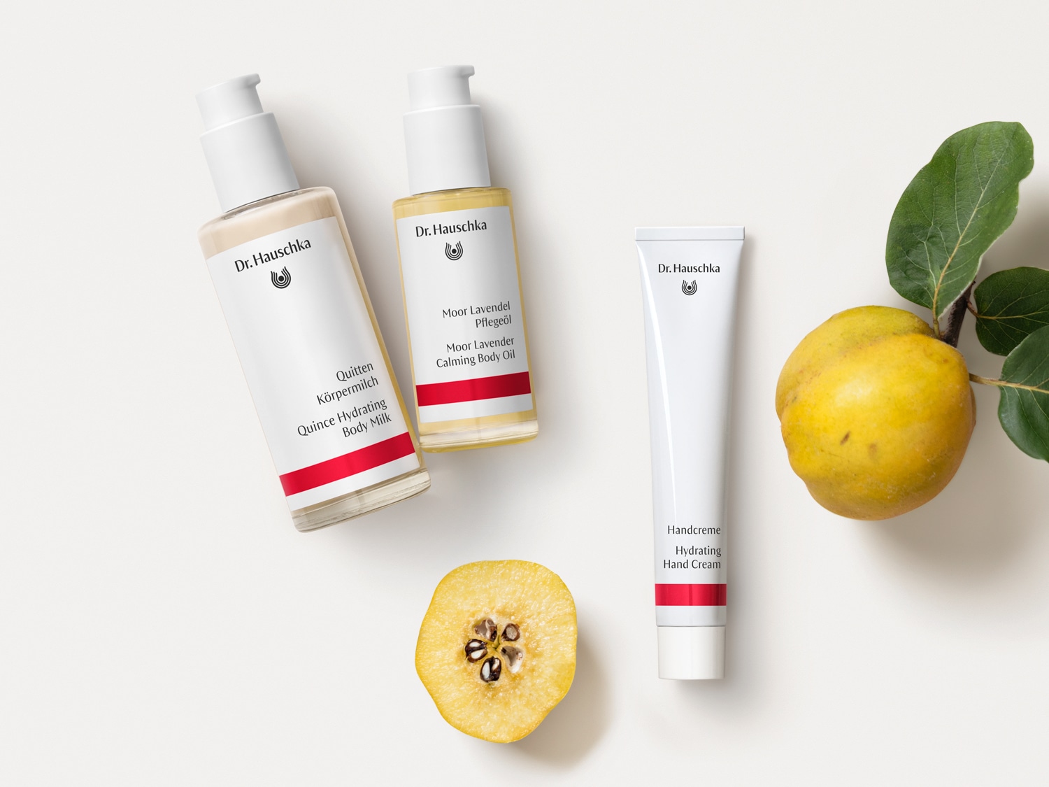 Dr. Hauschka präsentiert Quitten Körpermilch und Moor Lavendel Pflegeöl in eleganten Flaschen, neben einer Handcreme und frischen Quitten.