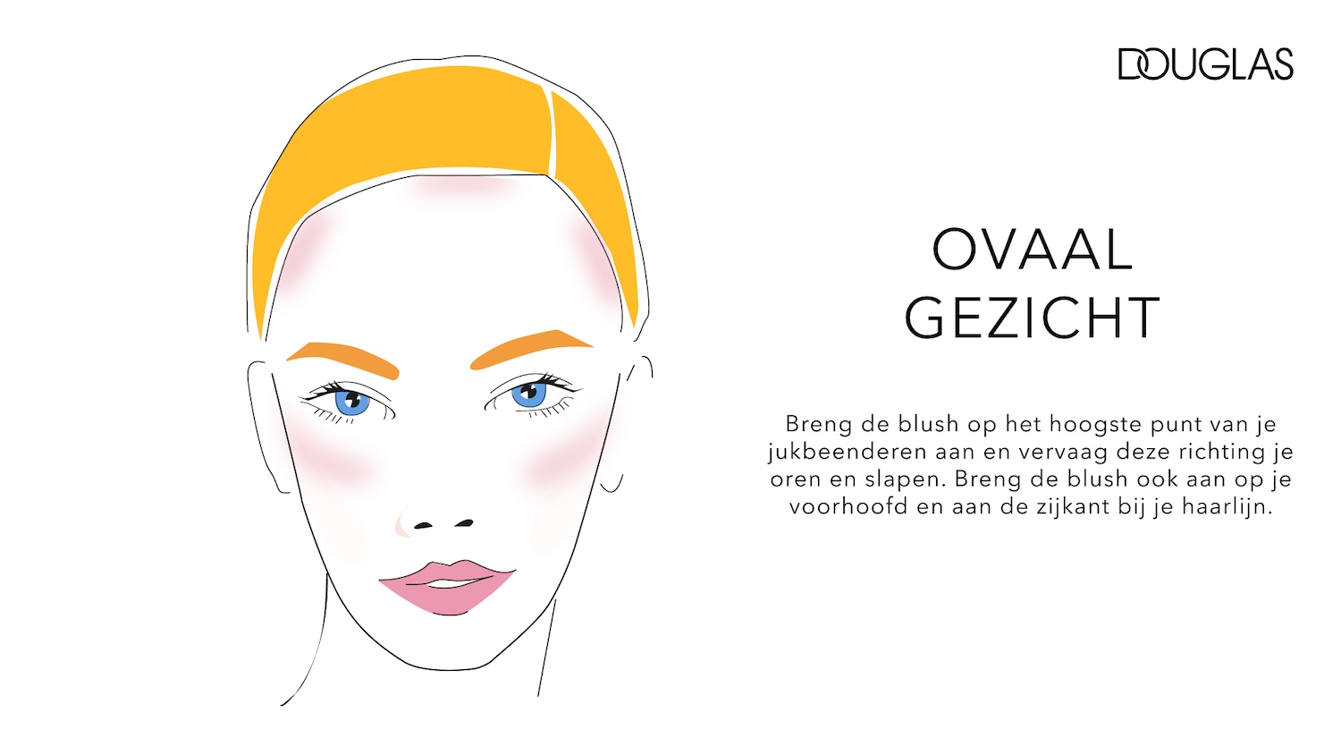 Illustratie van een ovaal gezicht met blush op de jukbeenderen, slapen, voorhoofd en haarlijn, met de tekst 'OVAAL GEZICHT' en instructies voor het aanbrengen van blush.