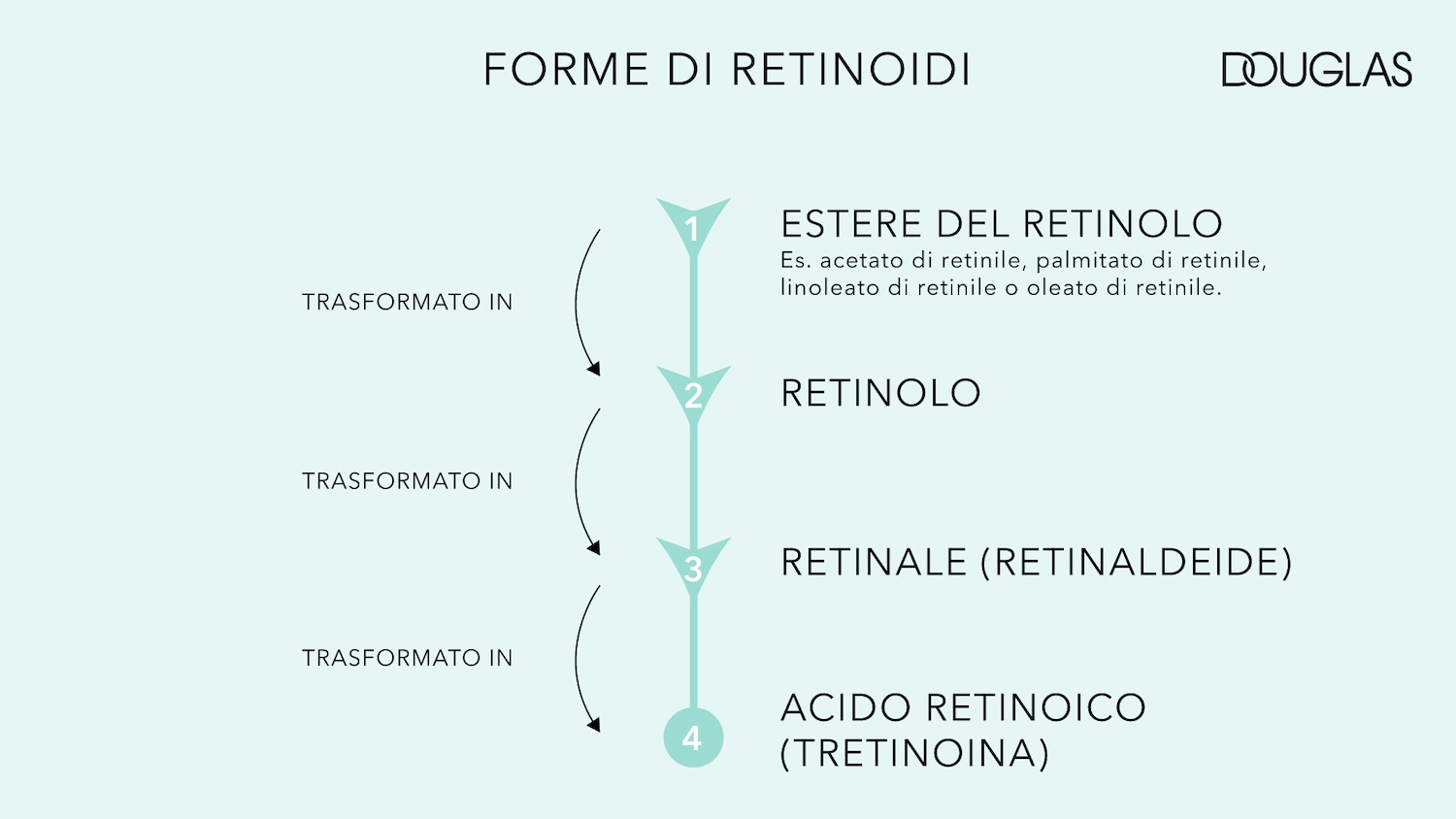 Diagramma che illustra le forme di retinoidi, tra cui estere del retinolo, retinolo, retinale (retinaldeide) e acido retinoico (tretinoina), con frecce che indicano la trasformazione tra le forme.