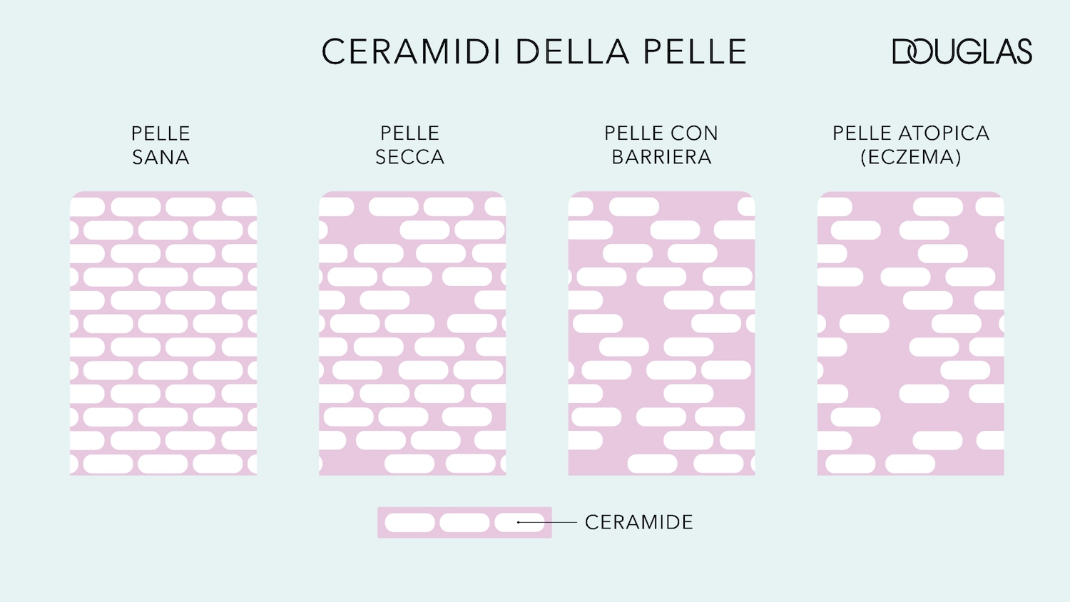 Grafico che illustra i ceramidi della pelle, mostrando la differenza tra pelle sana, pelle secca, pelle con barriera e pelle atopica (eczema), evidenziando l'importanza dei ceramidi per la salute della pelle.
