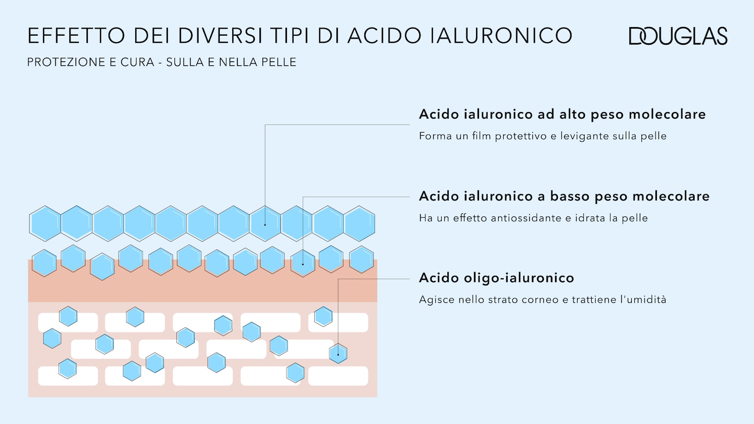 Diagramma che illustra l'effetto dei diversi tipi di acido ialuronico sulla pelle, mostrando come protegge, cura e idrata a diversi livelli.