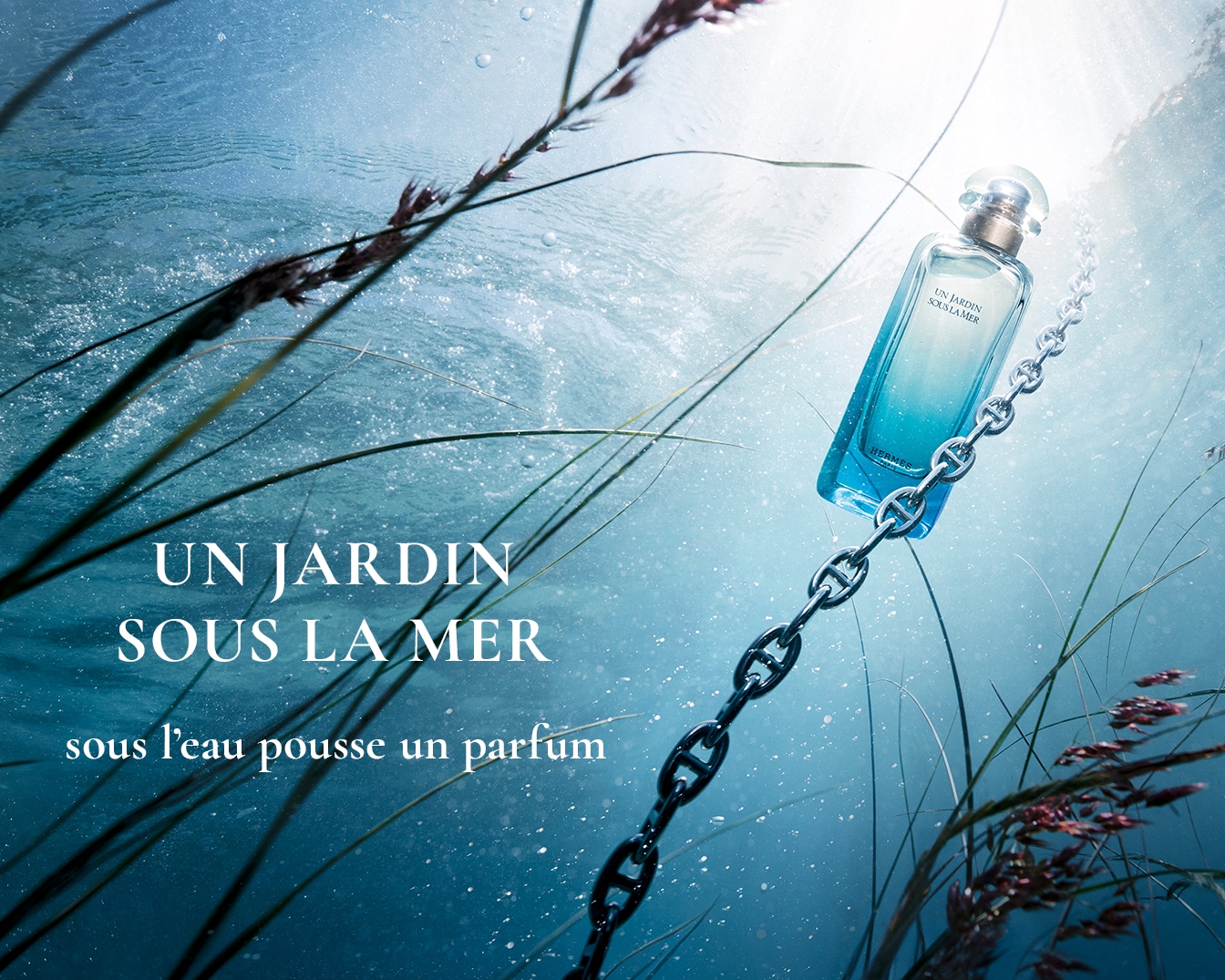 Découvrez Un Jardin Sous la Mer, un parfum qui émerge des profondeurs, suspendu par une chaîne argentée, évoquant un trésor caché sous les eaux.
