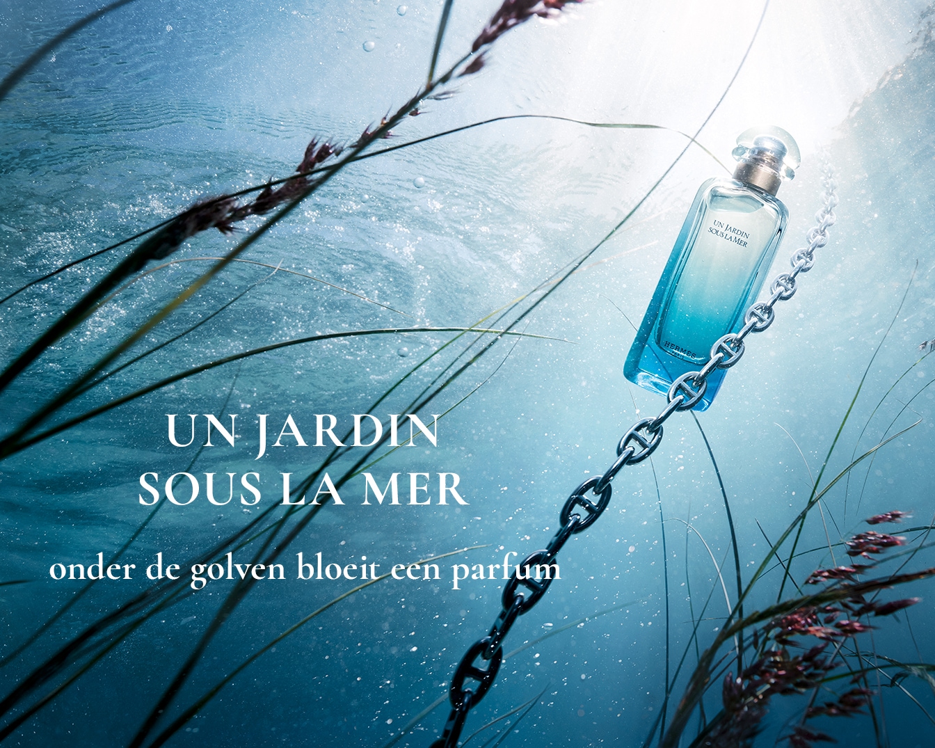 Ervaar de aquatische frisheid van Hermès 'Un Jardin Sous la Mer', een parfum dat bloeit onder de golven, gehuld in een blauwgroene flacon en zilveren ketting.