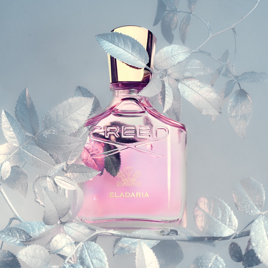 Creed Fragrances Creed Aventus Women For Her Parfum Creed Preis