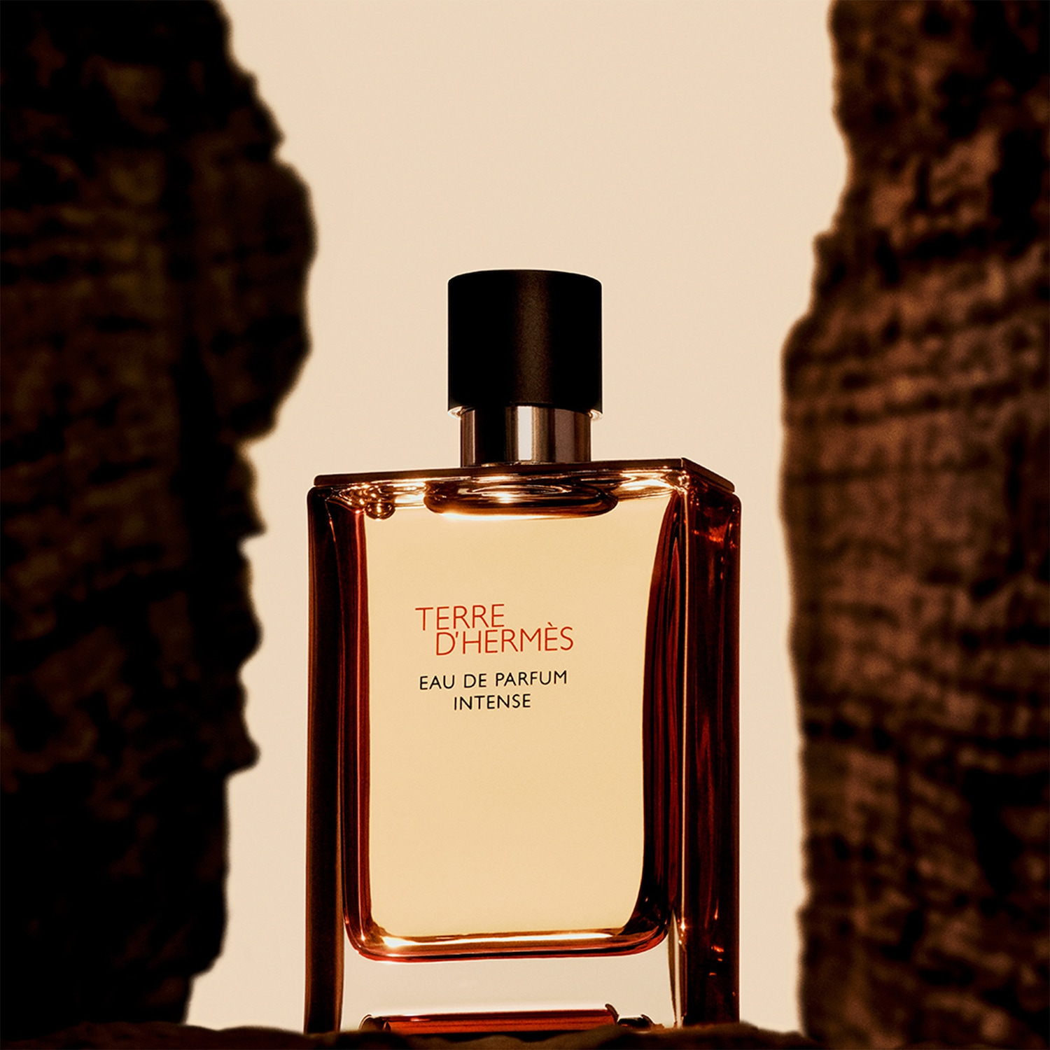 HERMÈS Terre d'Hermès Intense Eau de Parfum ✔️ online kaufen