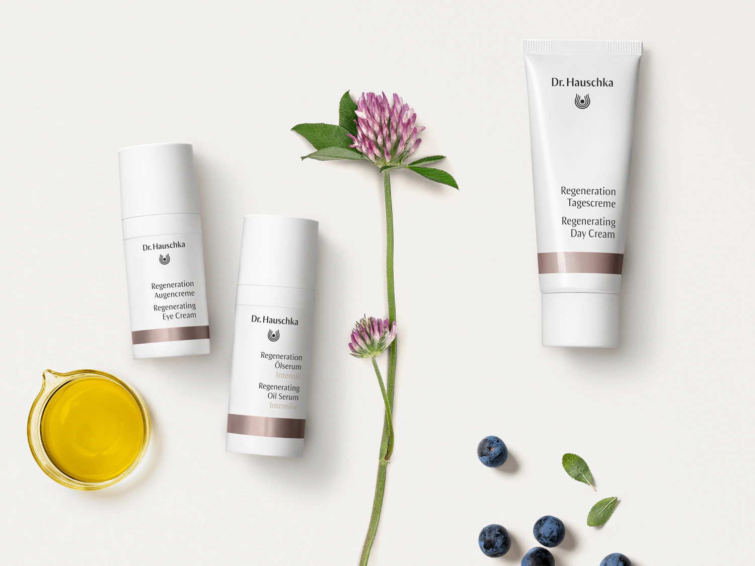 Entdecke Dr. Hauschkas Regenerationsserie: Augencreme in weißer Tube, Ölserum und Tagescreme, umgeben von Naturprodukten für eine revitalisierte Haut.