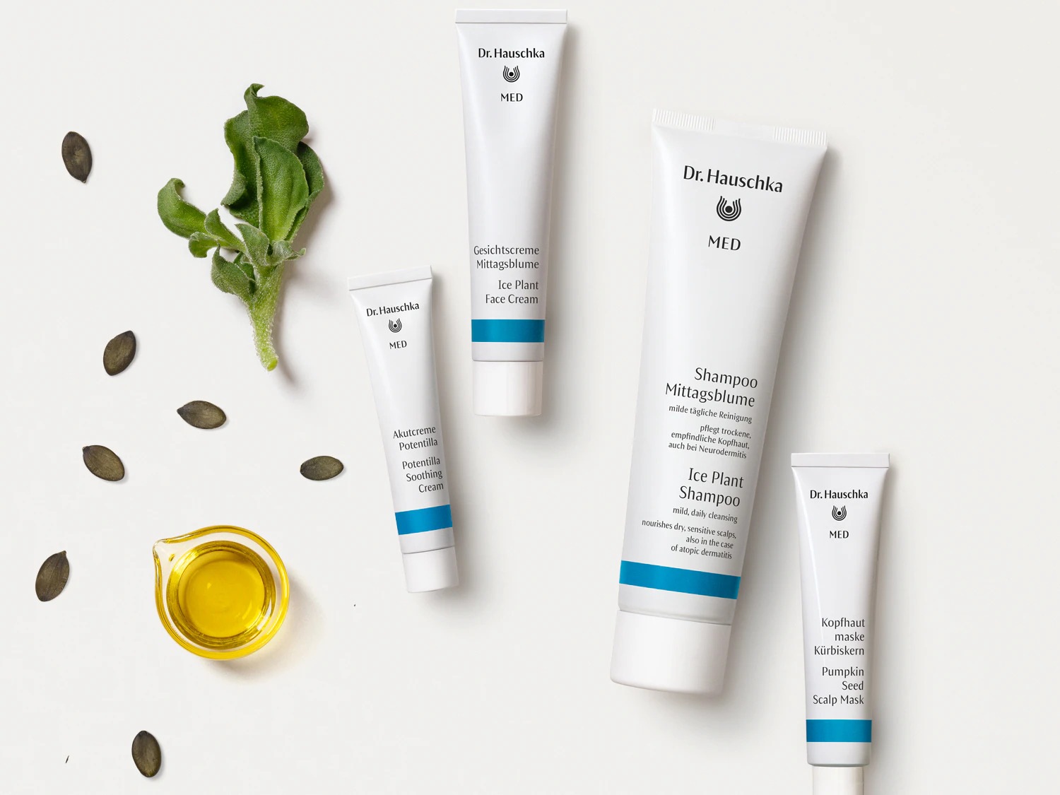 Dr. Hauschka MED-Produkte: Gesichtscreme Mittagsblume, Akutcreme Potentilla, Shampoo Mittagsblume und Kopfhautmaske Kürbiskern auf weißem Hintergrund mit Kürbiskernen, Öl und Pflanze.
