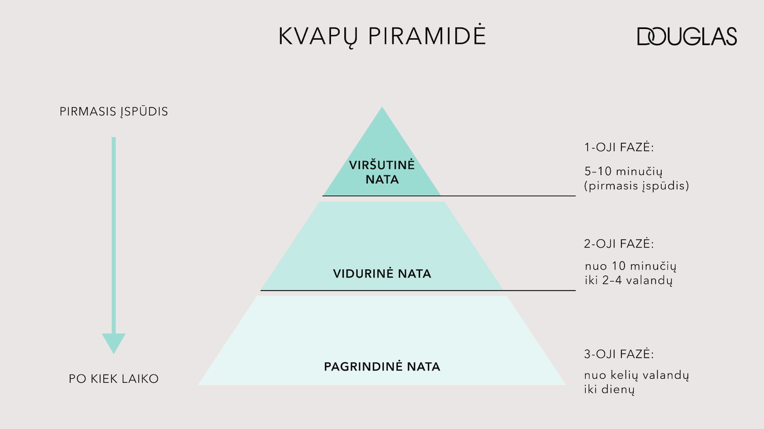 Kvapų piramidės schema, rodanti kvapo natų progresavimą nuo viršutinių iki pagrindinių natų per tam tikrą laiką.