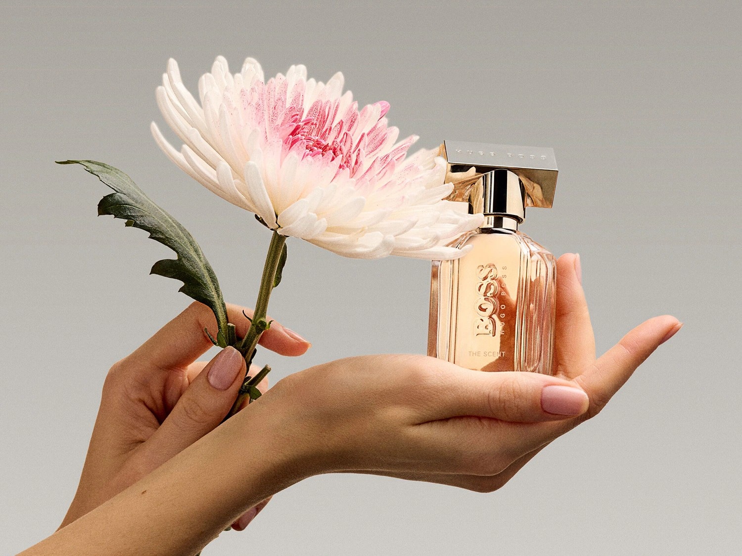 Eine Frau hält eine hellrosa Blume und eine Flasche Boss The Scent Duft mit goldenem Verschluss in ihren Händen.