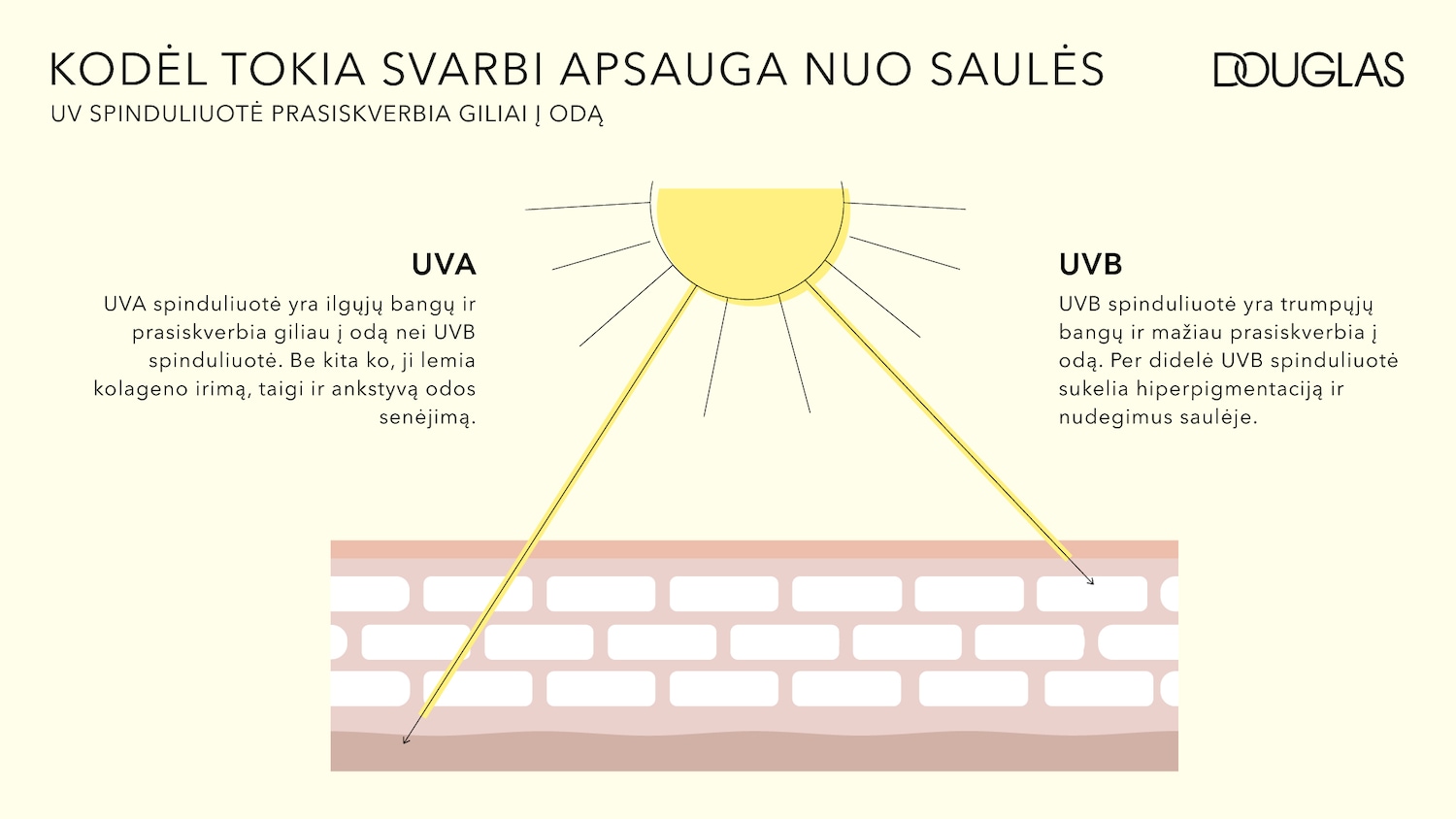 Diagrama, pabrėžianti UV spindulių svarbą odai, paaiškinanti, kaip UVA spinduliai prasiskverbia giliau ir sukelia kolageno irimą, o UVB spinduliai sukelia hiperpigmentaciją ir nudegimus.