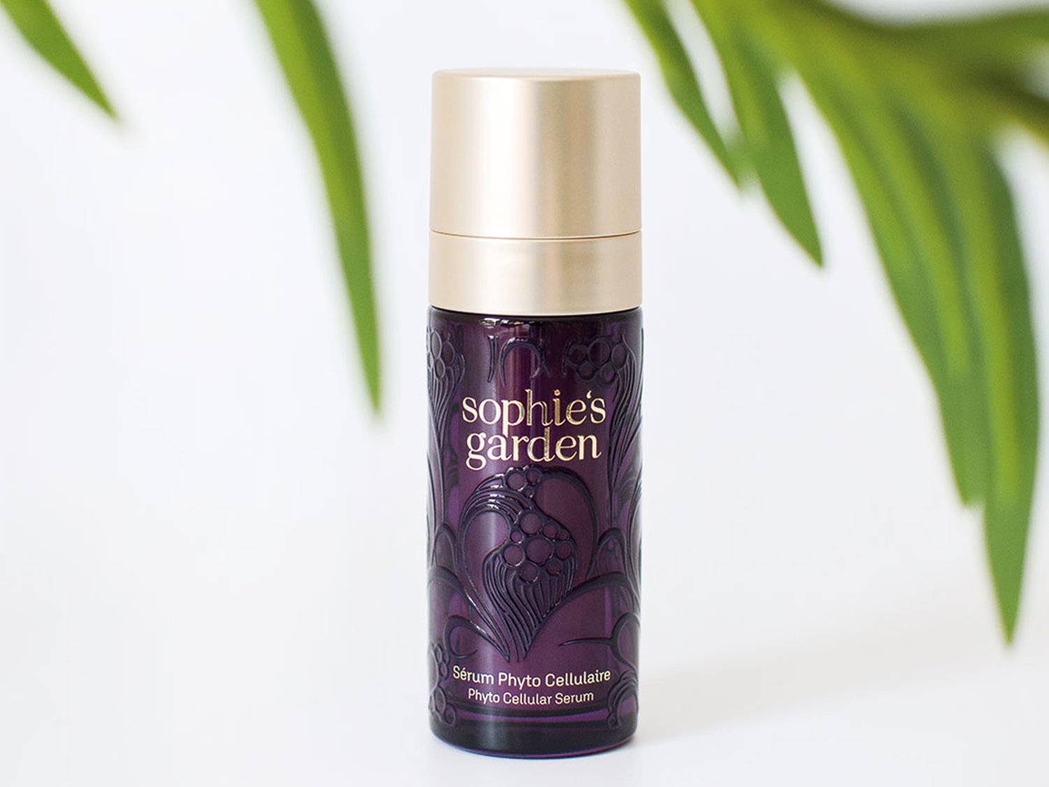 Aquí tienes el sérum fito celular Sophie's Garden, en un frasco morado oscuro con un tapón dorado brillante, perfecto para el cuidado de la piel.