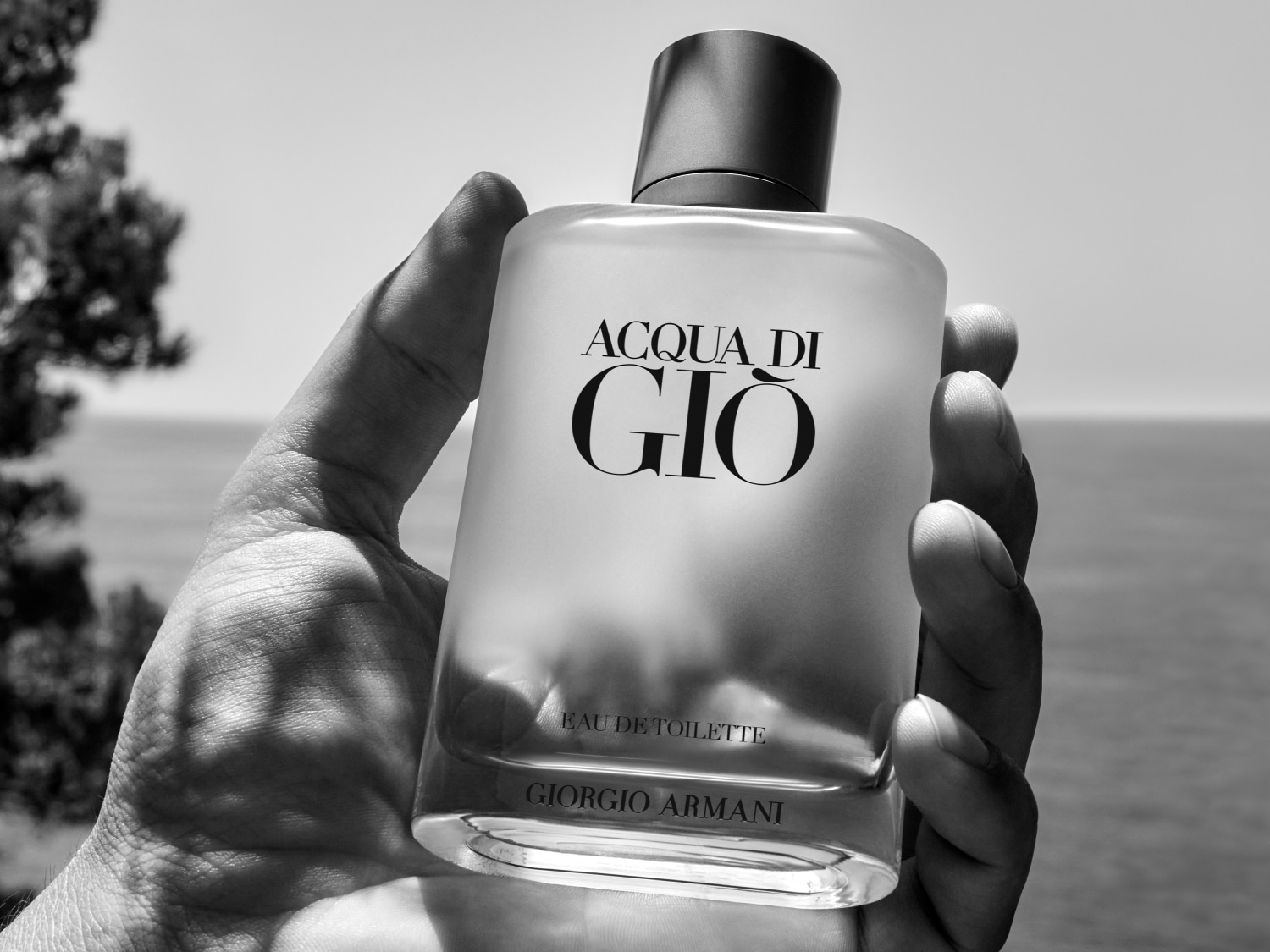 Eine Hand hält eine Flasche Acqua di Giò Eau de Toilette von Giorgio Armani vor einem verschwommenen Hintergrund.