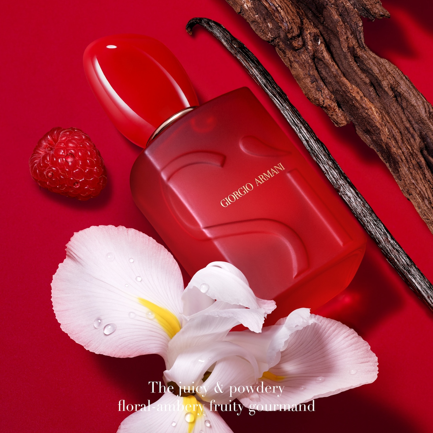 Découvrez le parfum rouge de Giorgio Armani, un mélange floral-ambré fruité gourmand, présenté avec une framboise, une fleur blanche, une gousse de vanille et un morceau de bois.