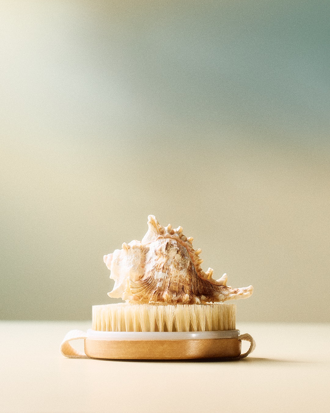 Gros plan d'une brosse de massage en bois clair avec une poignée en tissu blanc, surmontée d'un coquillage décoratif blanc et marron.