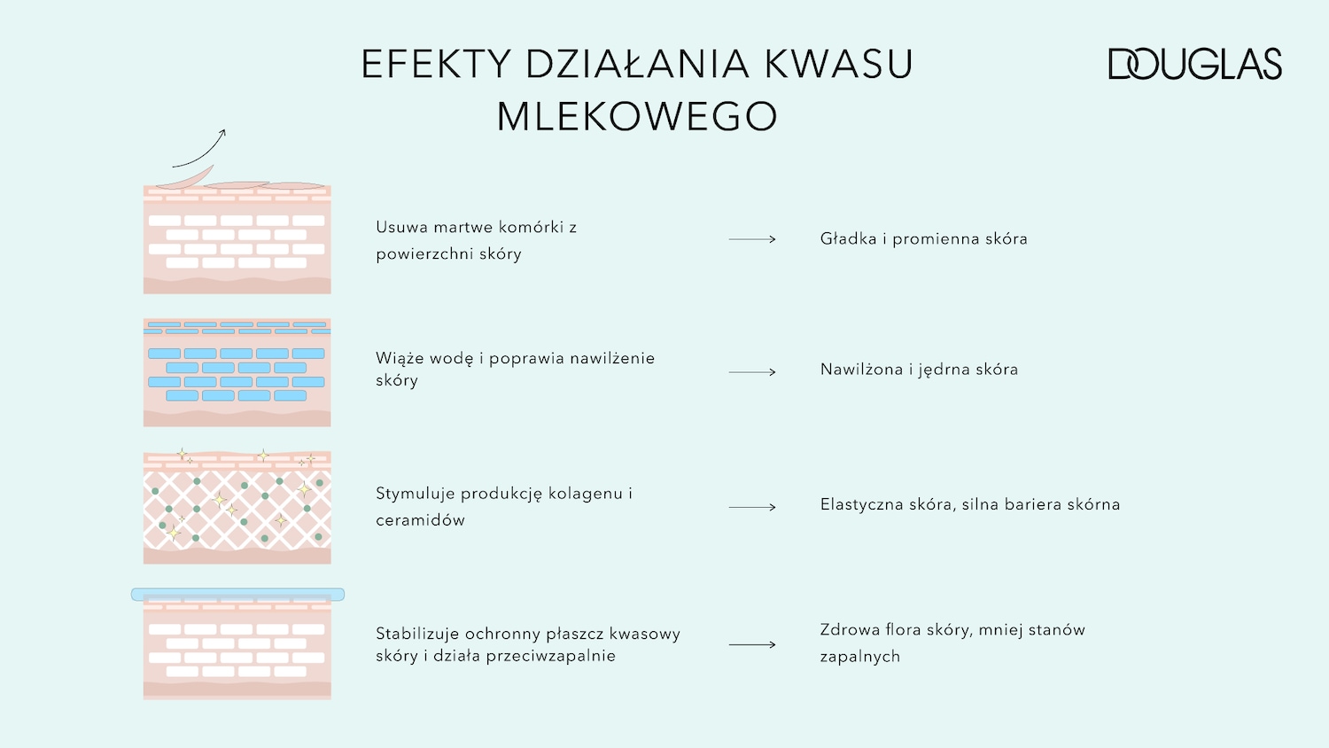 Grafika informacyjna Douglas przedstawia efekty działania kwasu mlekowego na skórę, takie jak usuwanie martwych komórek, wiązanie wody, stymulacja kolagenu i stabilizacja płaszcza kwasowego.