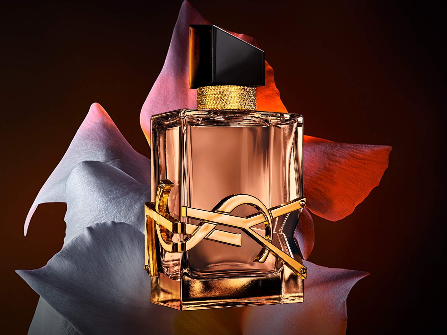 福*こ様 Yves Saint Laurent LIBRE Yves Saint Laurent Libre Eau de Parfum online kaufen | baslerbeauty