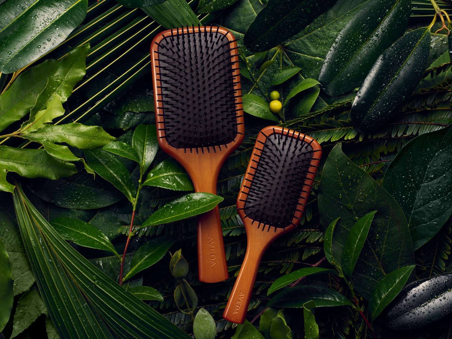 Twee Aveda haarborstels met houten handvat en zwarte borstelharen liggen tussen weelderige groene bladeren.