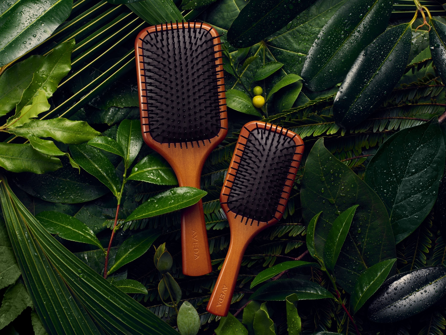 Twee Aveda haarborstels met houten handvat en zwarte borstelharen liggen op een bed van weelderige, natte groene bladeren.