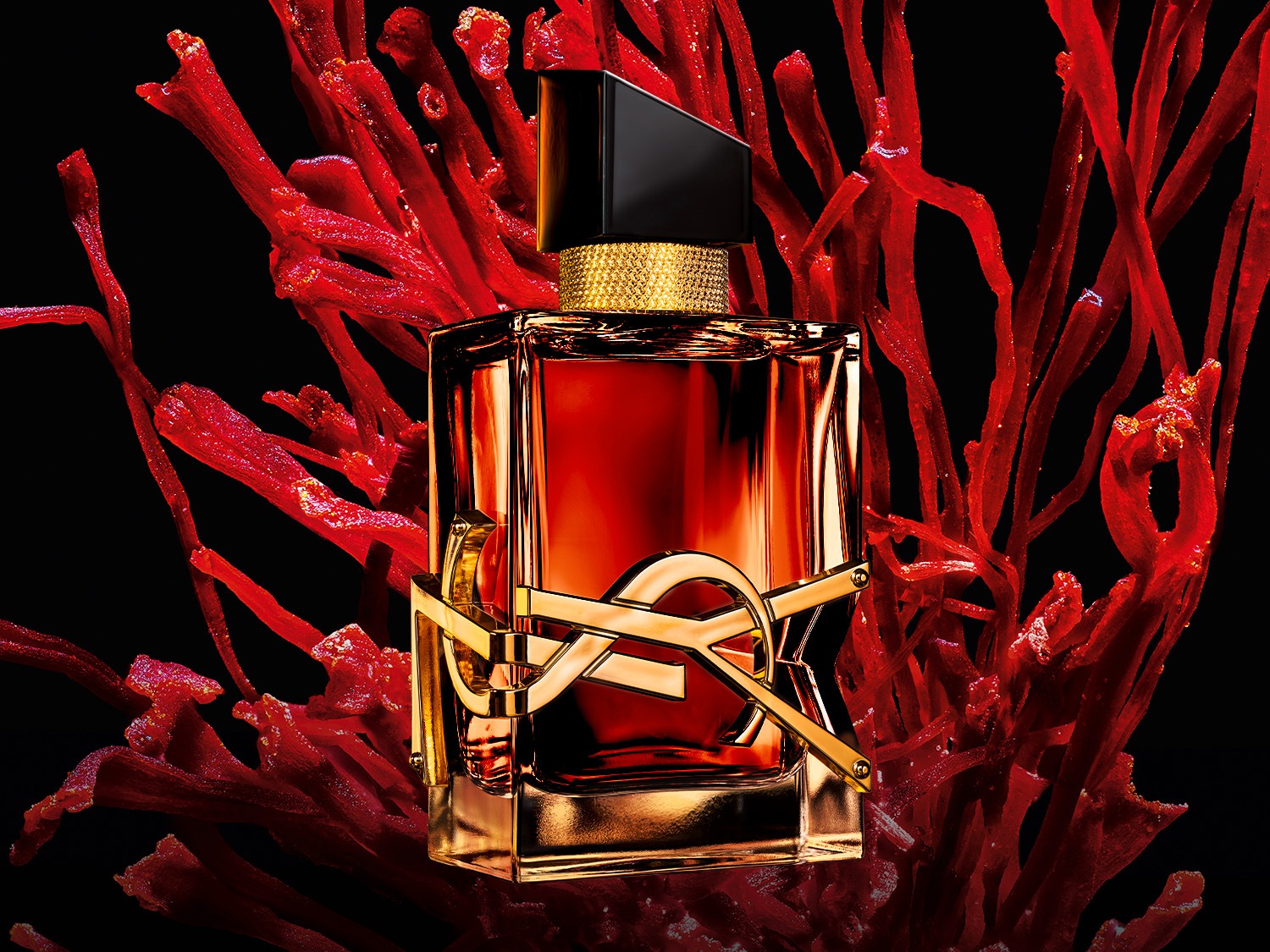 Découvrez le parfum Yves Saint Laurent, un flacon carré aux teintes rouge-orangé, orné du logo doré YSL, sur un fond de coraux rouges.